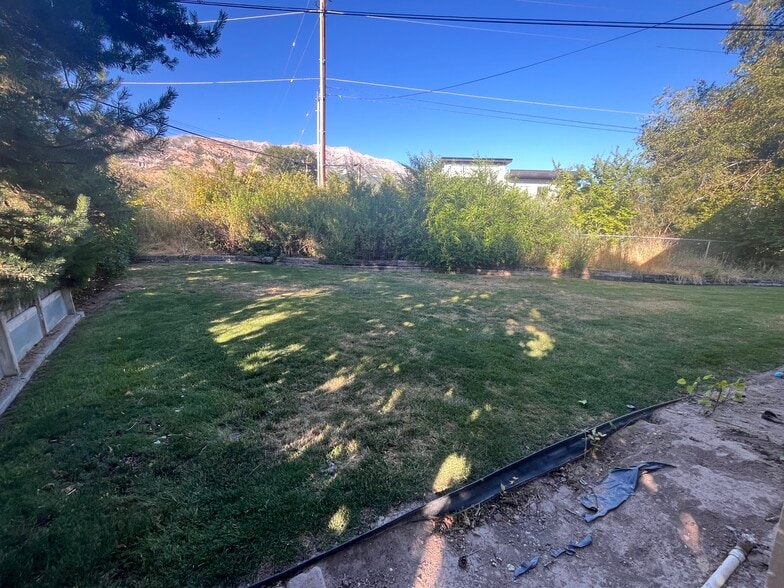 Backyard - 245 Cherry Hill Dr