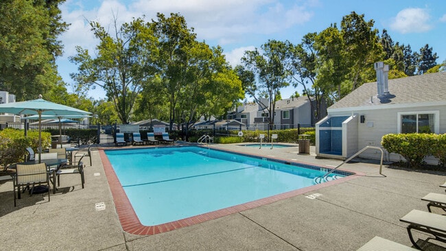 Pool - Canyon Creek