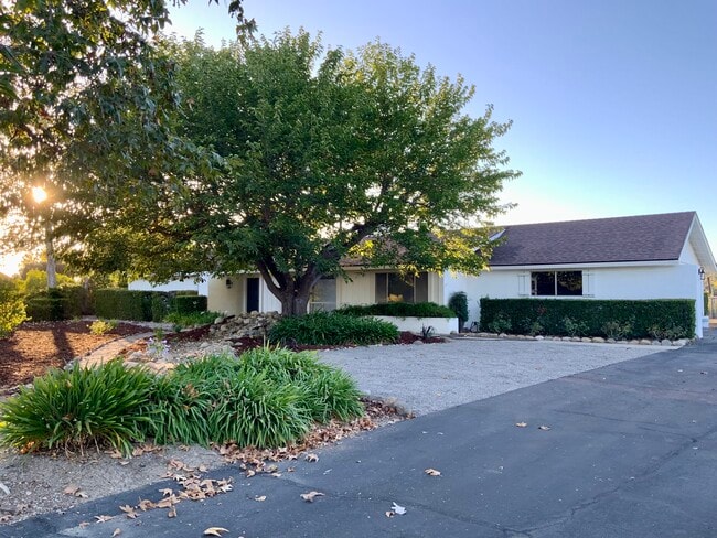 Building Photo - 915 Ranch View Ln