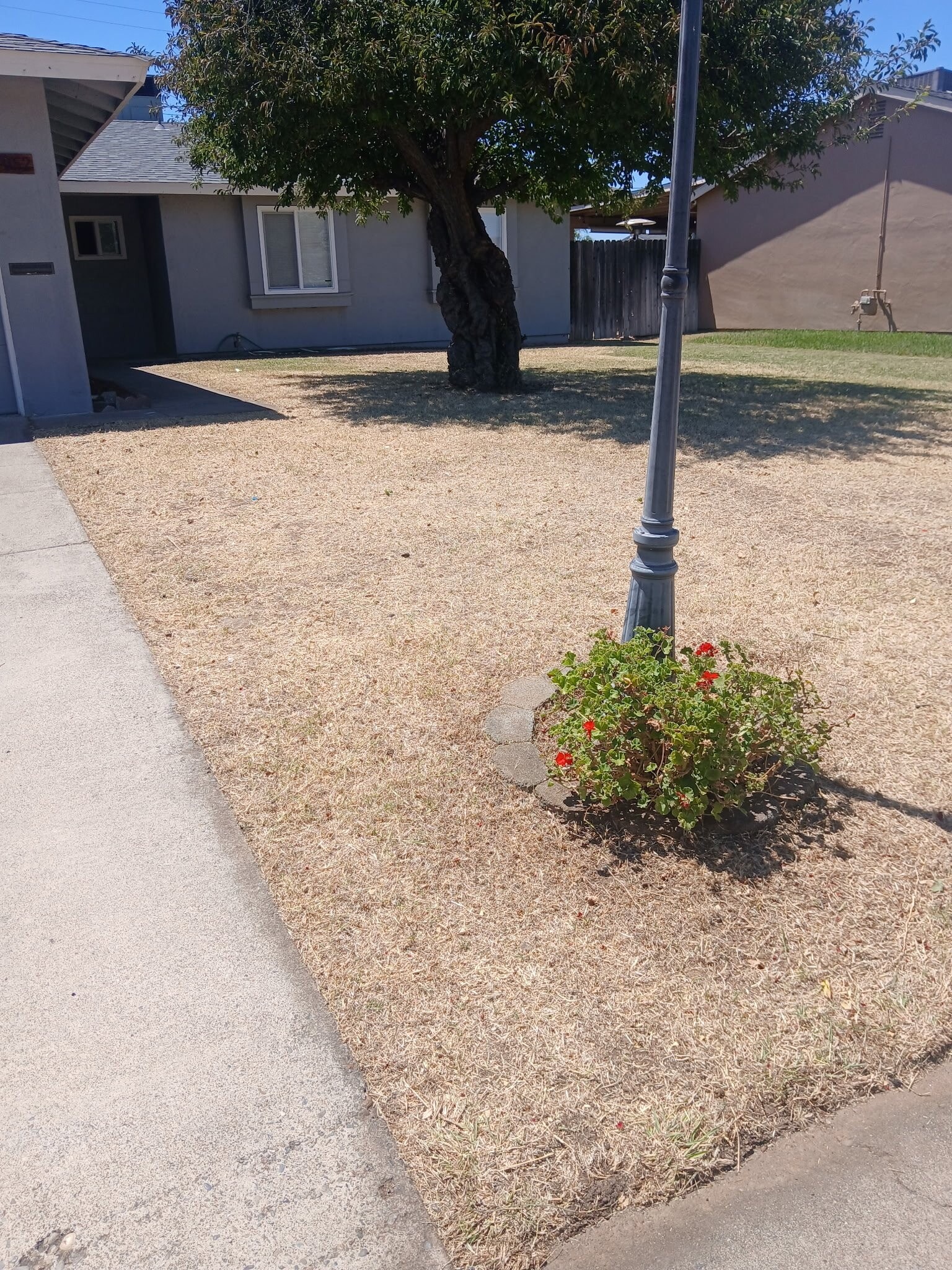 Building Photo - 7052 Forman Way