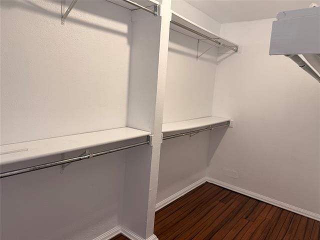 Building Photo - 2150 Courtland Cir