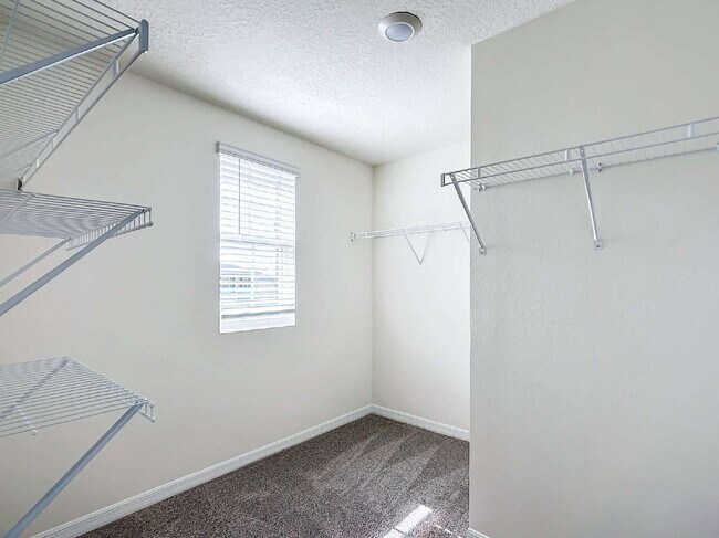 Building Photo - 5 Bedroom Rental Home with Large Backyard in Ocala Crossings!