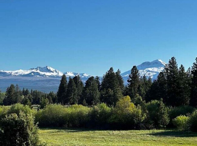 Building Photo - HUGE Custom-Designed Dream Home bordering Indian Meadows Preserve!