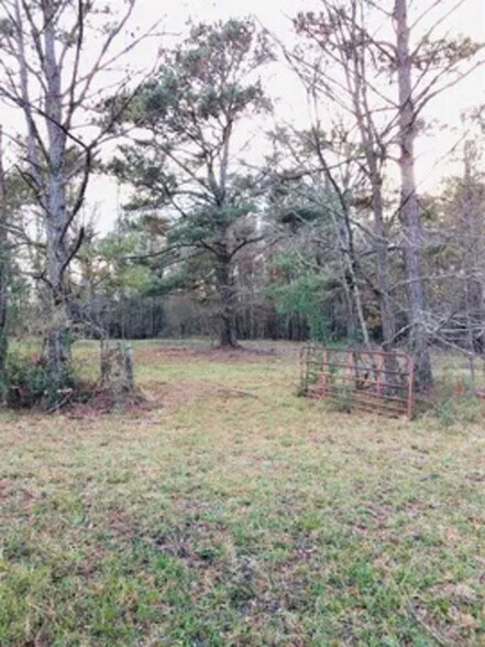 Building Photo - 151 Atchison Rd