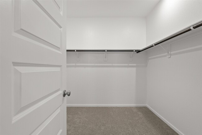 Building Photo - 702 Sand Dollar Dr