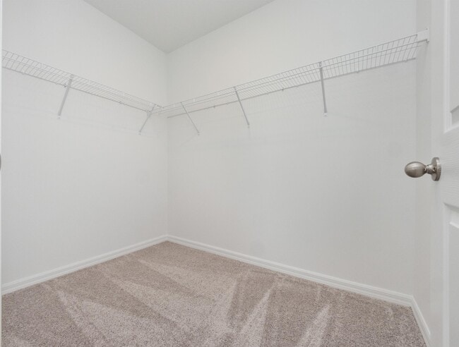 Building Photo - 2606 Irish Elk Ave