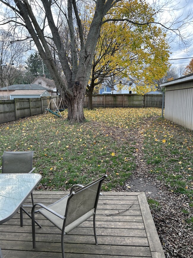 fenced in backyard - 310 K St