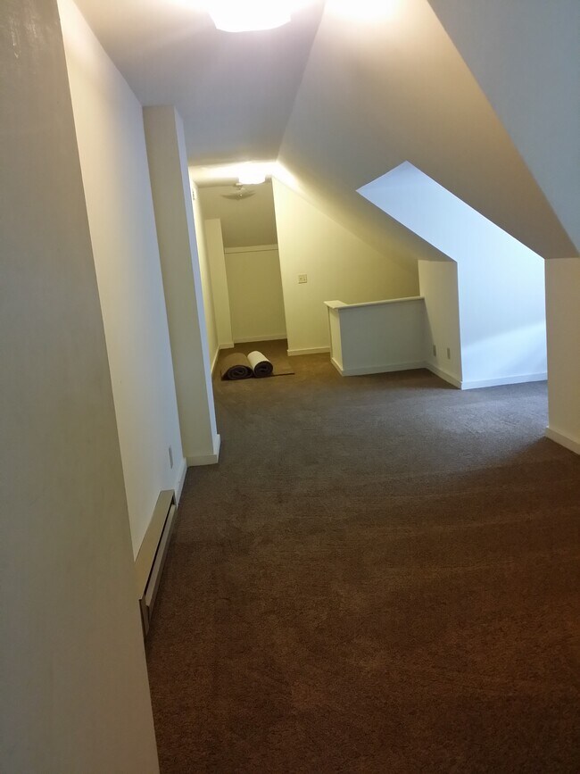 Attic - 114 W Blake Ave