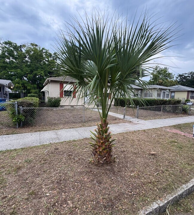 Building Photo - Three Bedroom One Bathroom Cottage in Palmetto Park, St. Petersburg