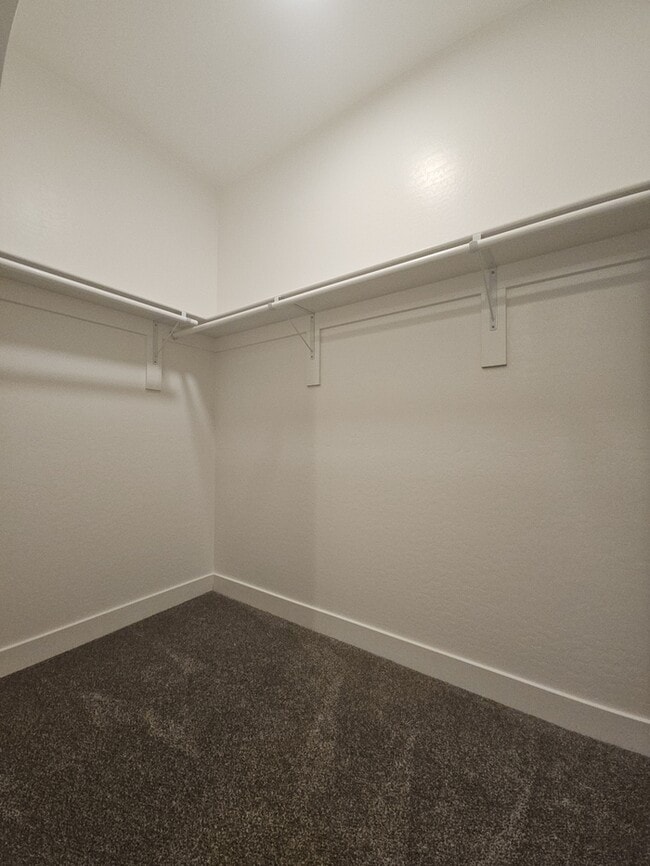 Building Photo - Newly Renovated 3 bed 2 bath home in San Tan Valley