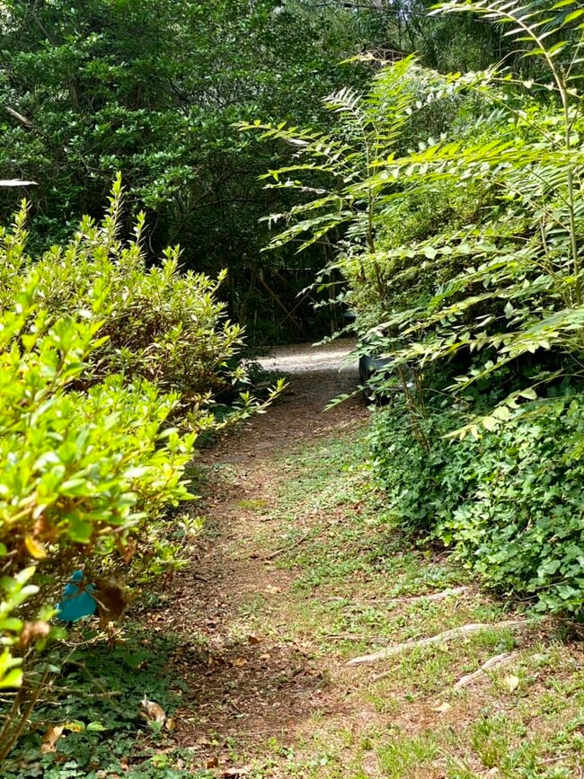 Building Photo - 95 Lanier St