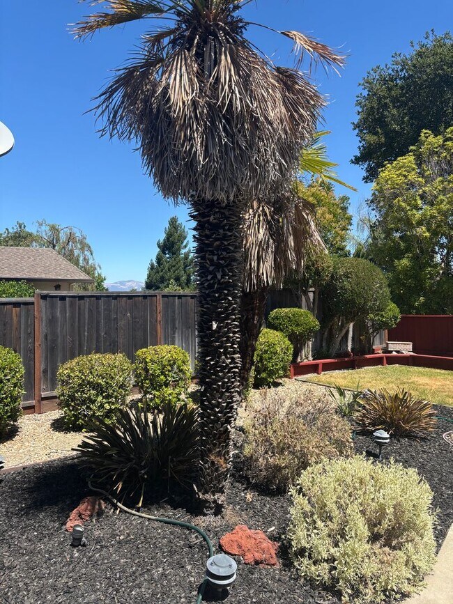 Building Photo - Lovely 3-Bedroom, 2-Bath Home in Desirable...