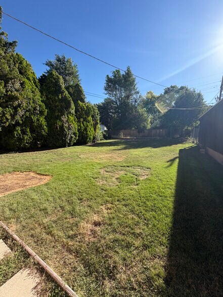 Backyard - 1035 S 800 E