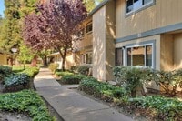 Building Photo - Modern 2-Bedroom Townhome in Peaceful Redwood Community