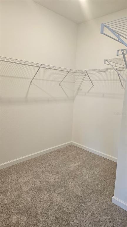 Building Photo - 2739 Skyline Lp