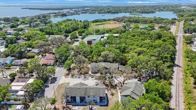 Building Photo - The Oaks at Safety Harbor 3 bedroom 2 bath