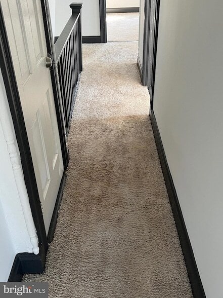 Building Photo - 438 Mitchell Ave