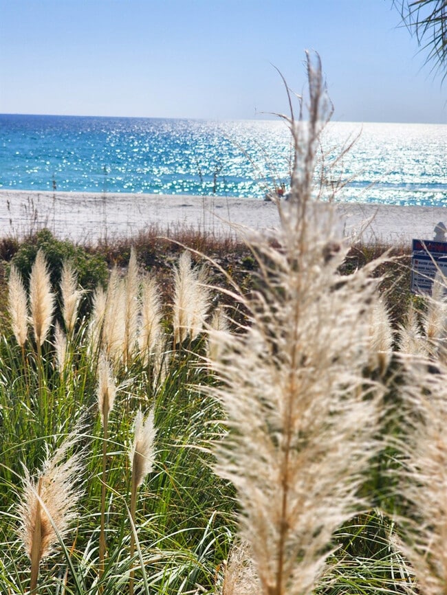 Building Photo - 11800 Front Beach Rd