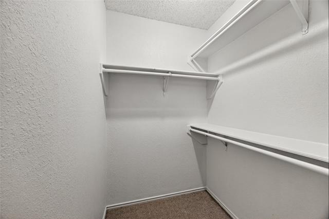 Building Photo - 2724 Countryside Ln