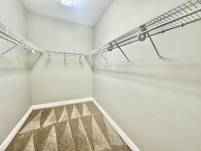 Building Photo - Spacious Home on a Large Lot in Grande Oaks!