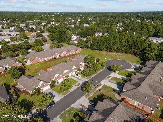 Building Photo - 903 Shelton Ct