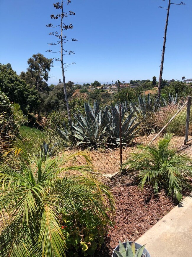Building Photo - Spacious Single Story 4 bed 2 bath home in Serra Mesa w/2 car garage