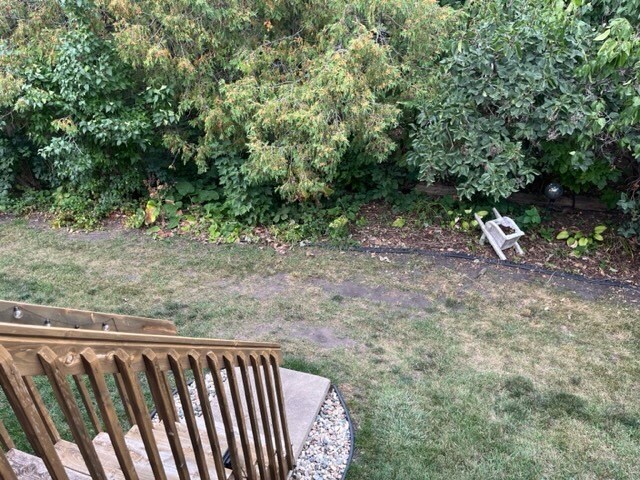 Private wooded area can be used for container gardening, flowers or extra feeders for the birds - 334 W 5th St