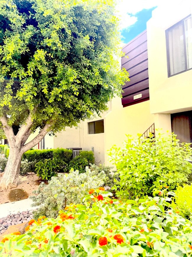 Building Photo - 1655 E Palm Canyon Dr