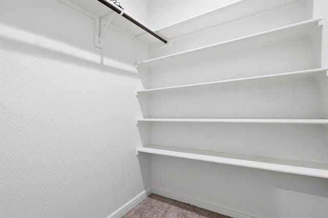 Building Photo - 2524 Little Wonder Ln