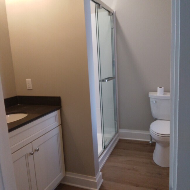 Bathroom newly renovated - 135 E Lemon St