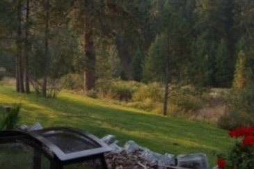 East view from deck - 9491 Miller Creek Rd