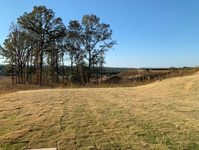 Building Photo - Spacious 5BR House in Bessemer