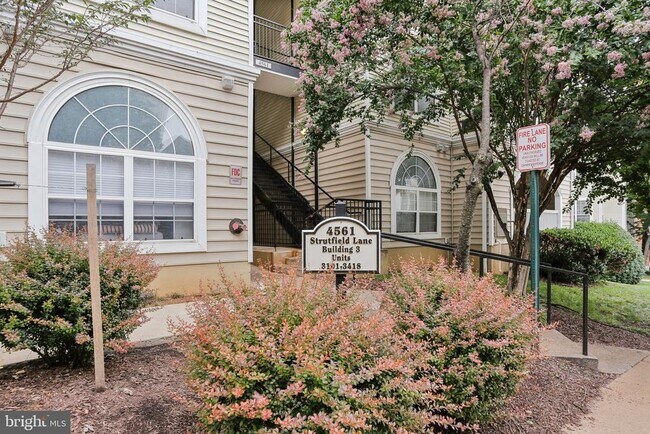 Building Photo - 4561 Strutfield Ln