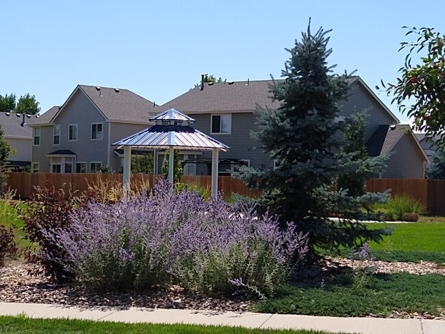 Building Photo - Gorgeous 2 Story 3 Bedroom 2.5 Baths in Dacono For Rent