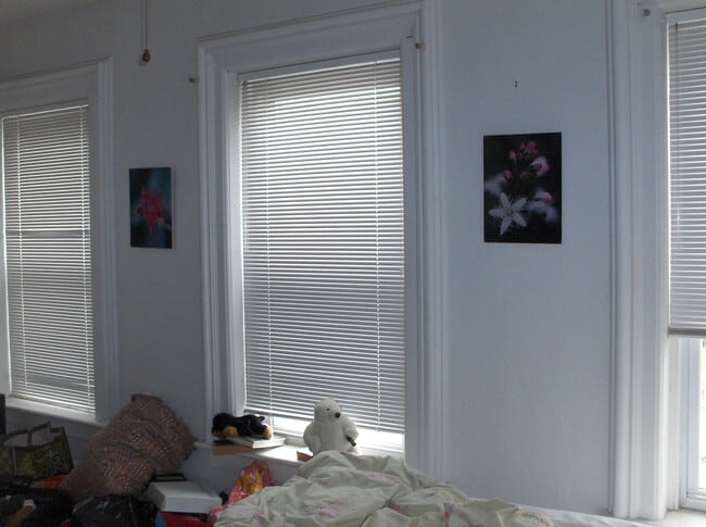 Primary Photo - 30 Pearl St