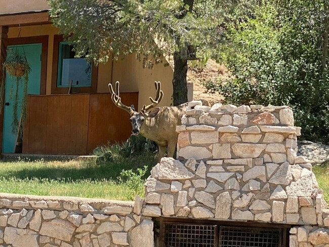 Building Photo - Gorgeous Home for Lease