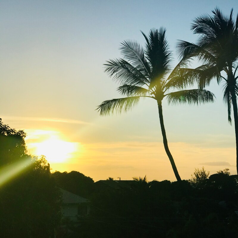 Building Photo - 317 Auhana Rd