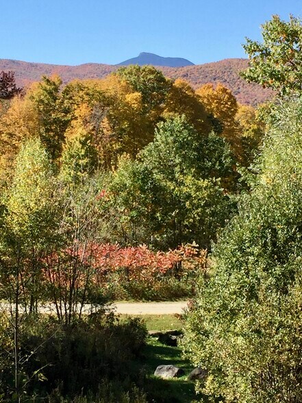 Building Photo - 475 Black Bear Holw