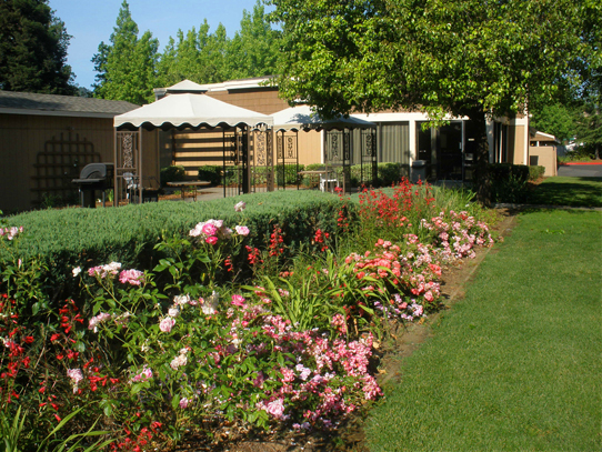 Building Photo - Rose Garden Senior Apartments