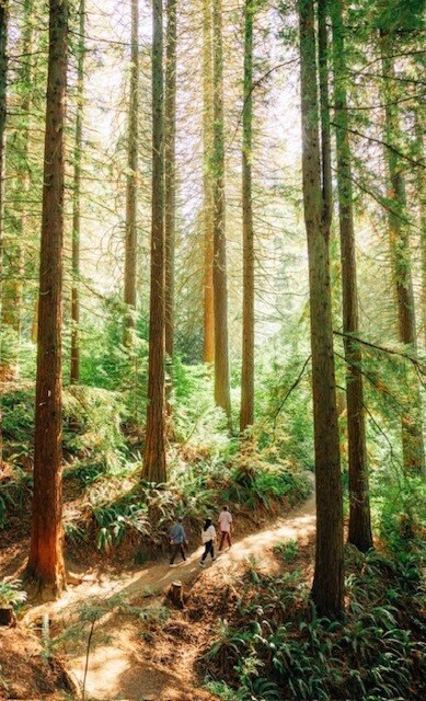 Building Photo - 7112 N Richmond Ave