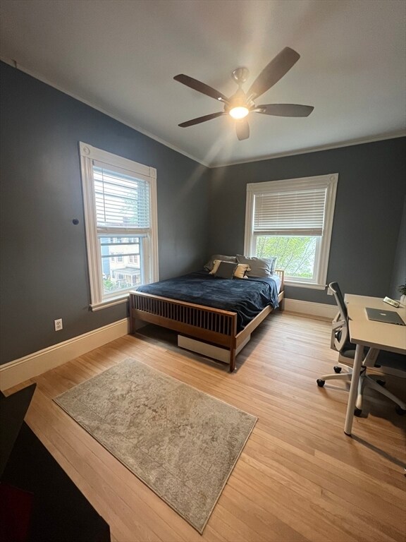 Building Photo - 43 Robinson St