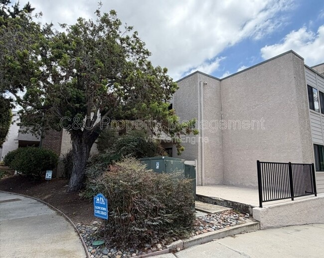 Building Photo - 2625 Pirineos Way