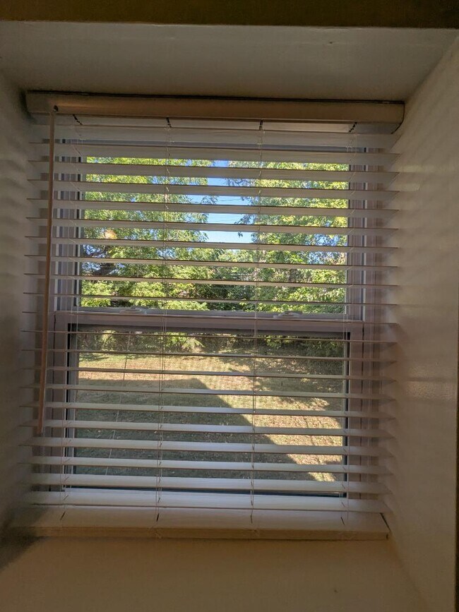 Building Photo - 3911 Castleman Ave