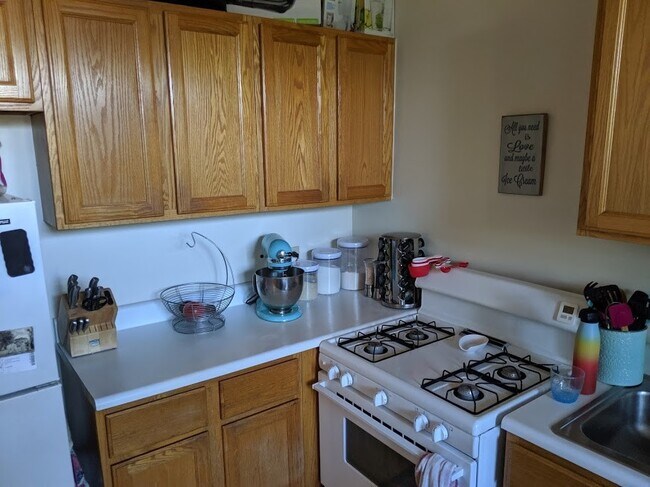 Building Photo - Light and Bright West Wrigleyville/Roscoe Village