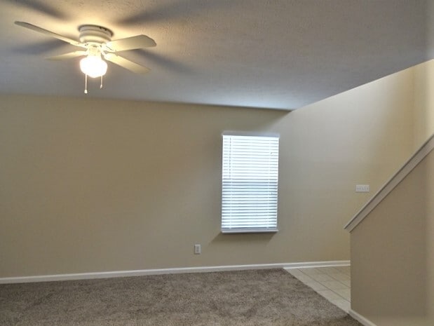 Building Photo - 293 Story Rd