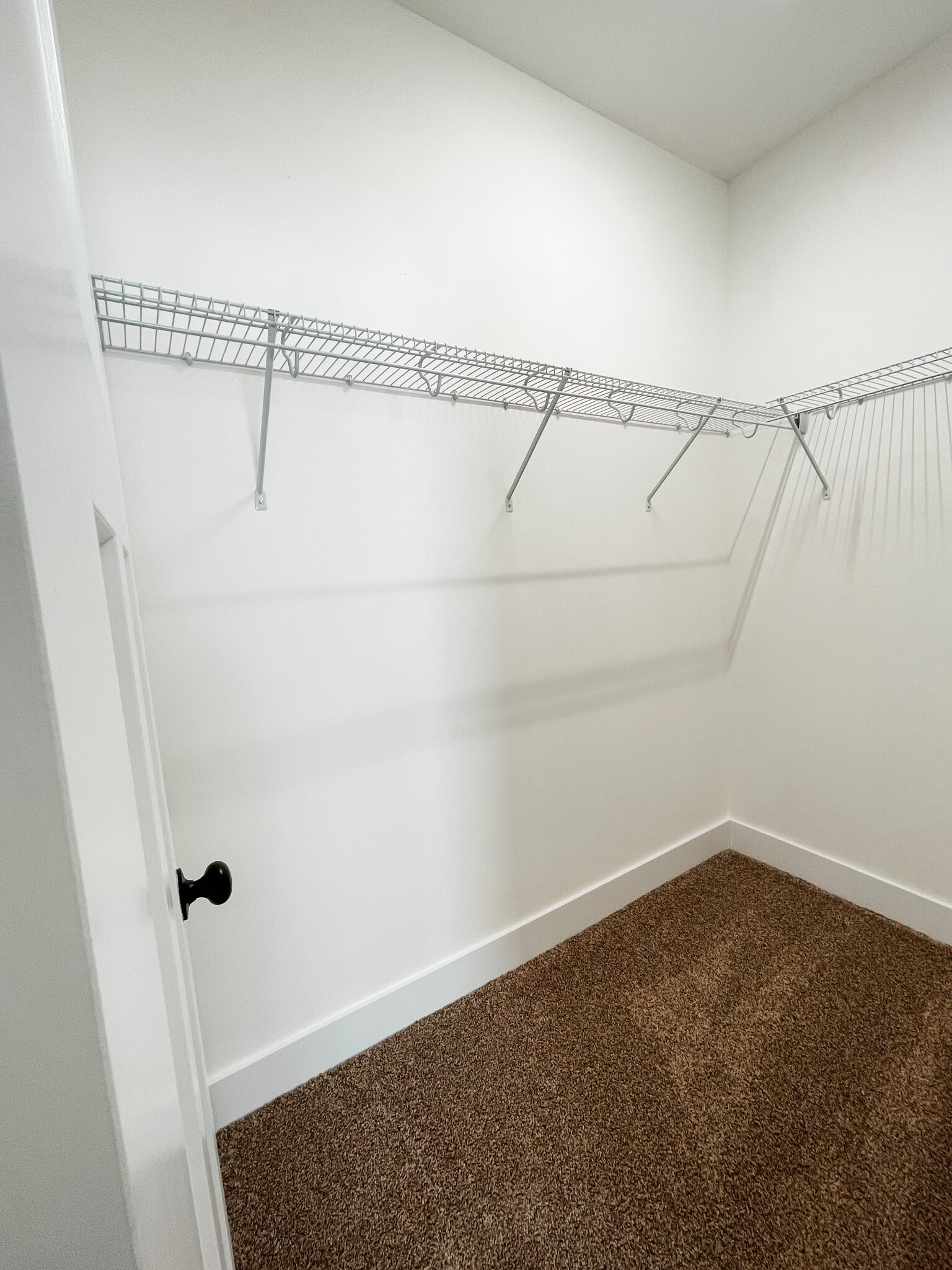 Bedroom Closet - 257 New Day Ln