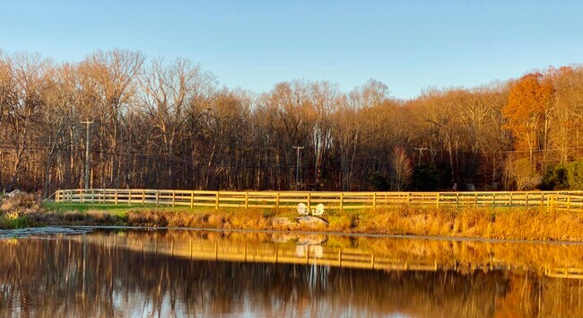 Primary Photo - 266 Maple Tree Hill Rd