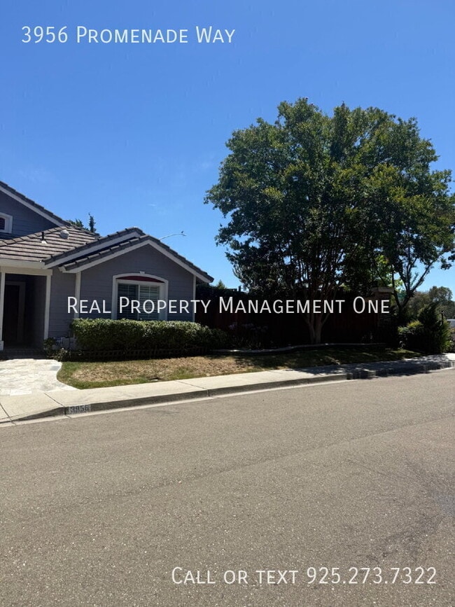 Building Photo - 3956 Promenade Way