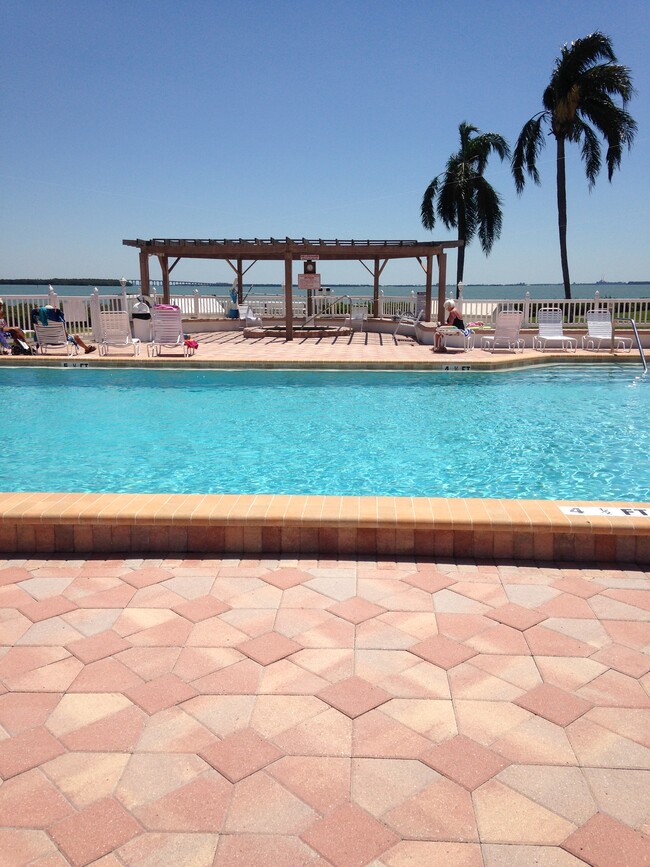 Breathtaking view from the pool - 6219 Palma Del Mar Blvd S