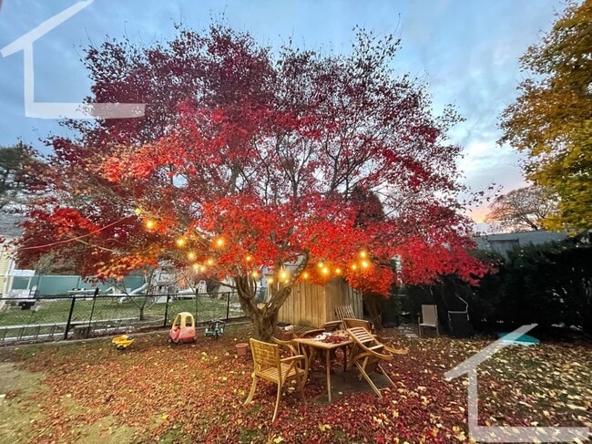 Building Photo - Gorgeous Newton Highlands Single Family 5 Bed/2 Bath for August, 2026